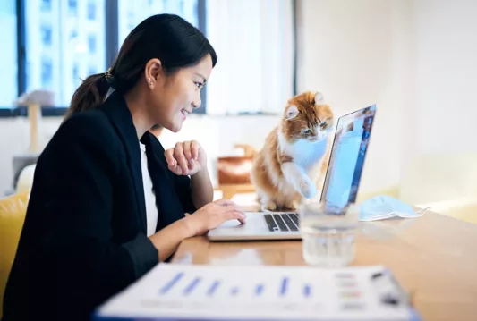 Lady searching something on her laptop with a cat beside her on the table